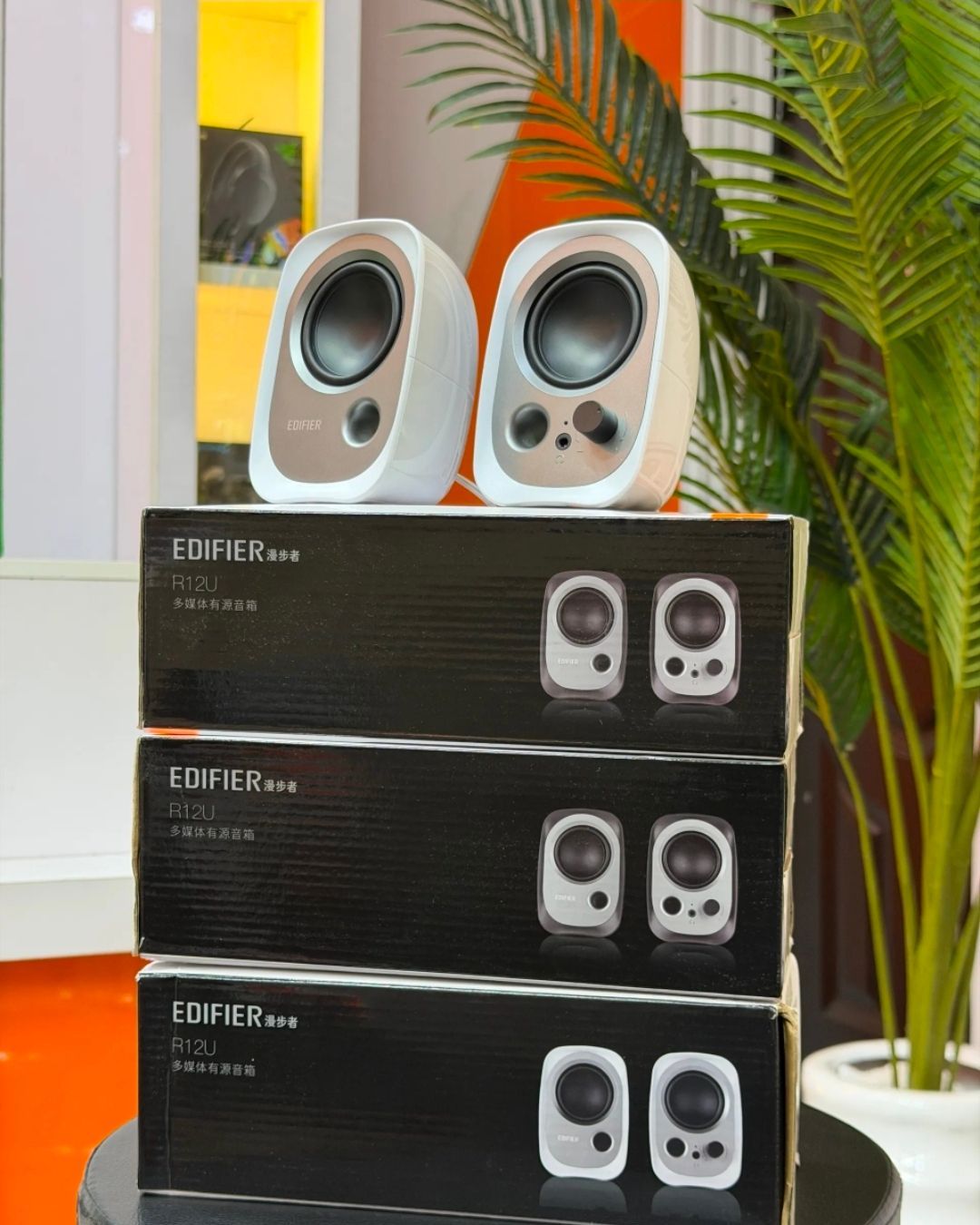 Edified R12U mini speaker