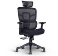 Lumora Ergonomic Chair